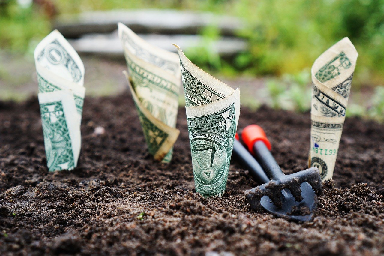 Money growing in community soil